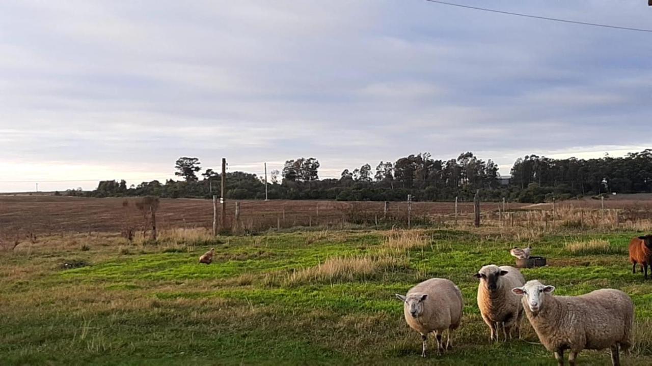 Pousada Do Pampa Jaguarão Exteriér fotografie