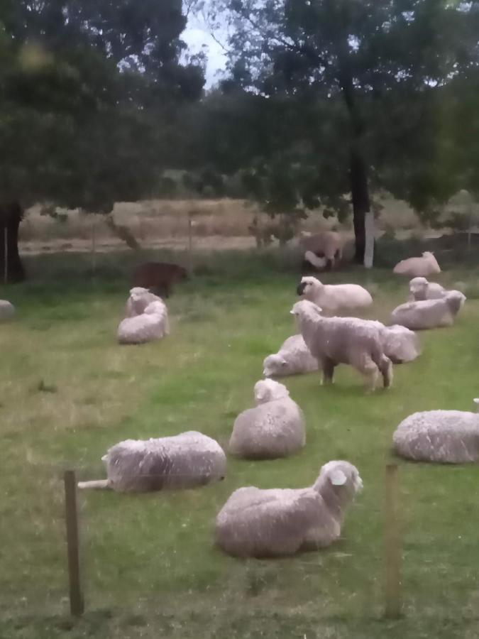 Pousada Do Pampa Jaguarão Exteriér fotografie